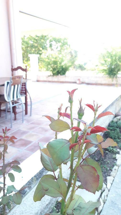 Country House Kefalonia Dhorizáta Екстериор снимка